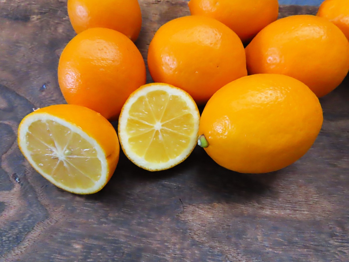 柠檬是什么水果200字左右详细描述一下