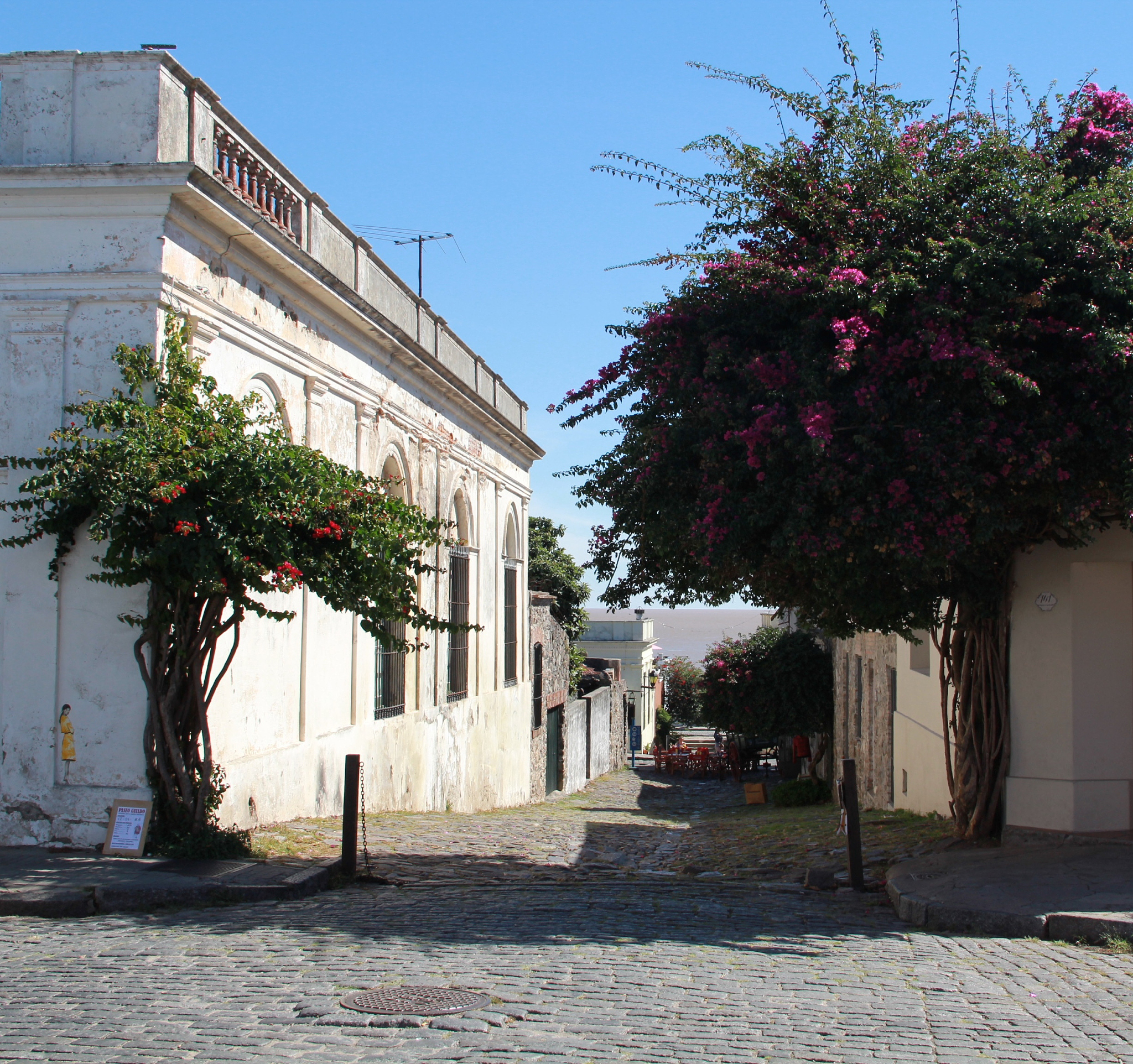 The Power of Esperanza: A Perspective from Mango Street