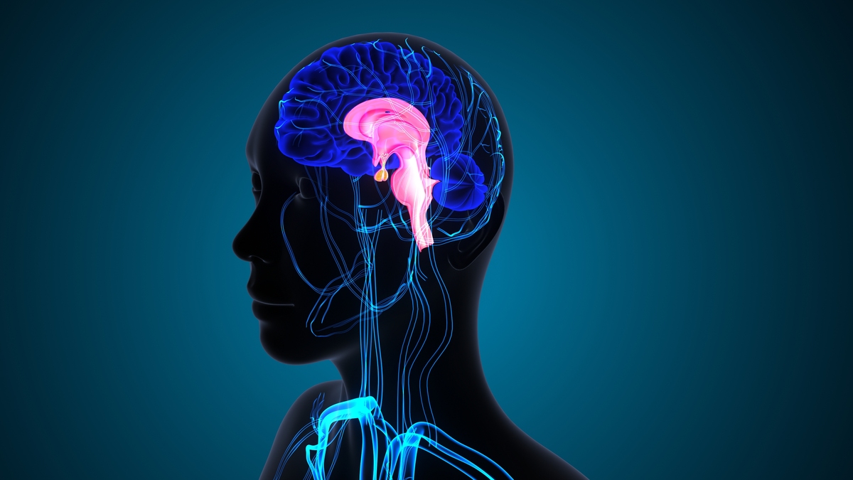 大脑疲劳：原因、症状及应对措施