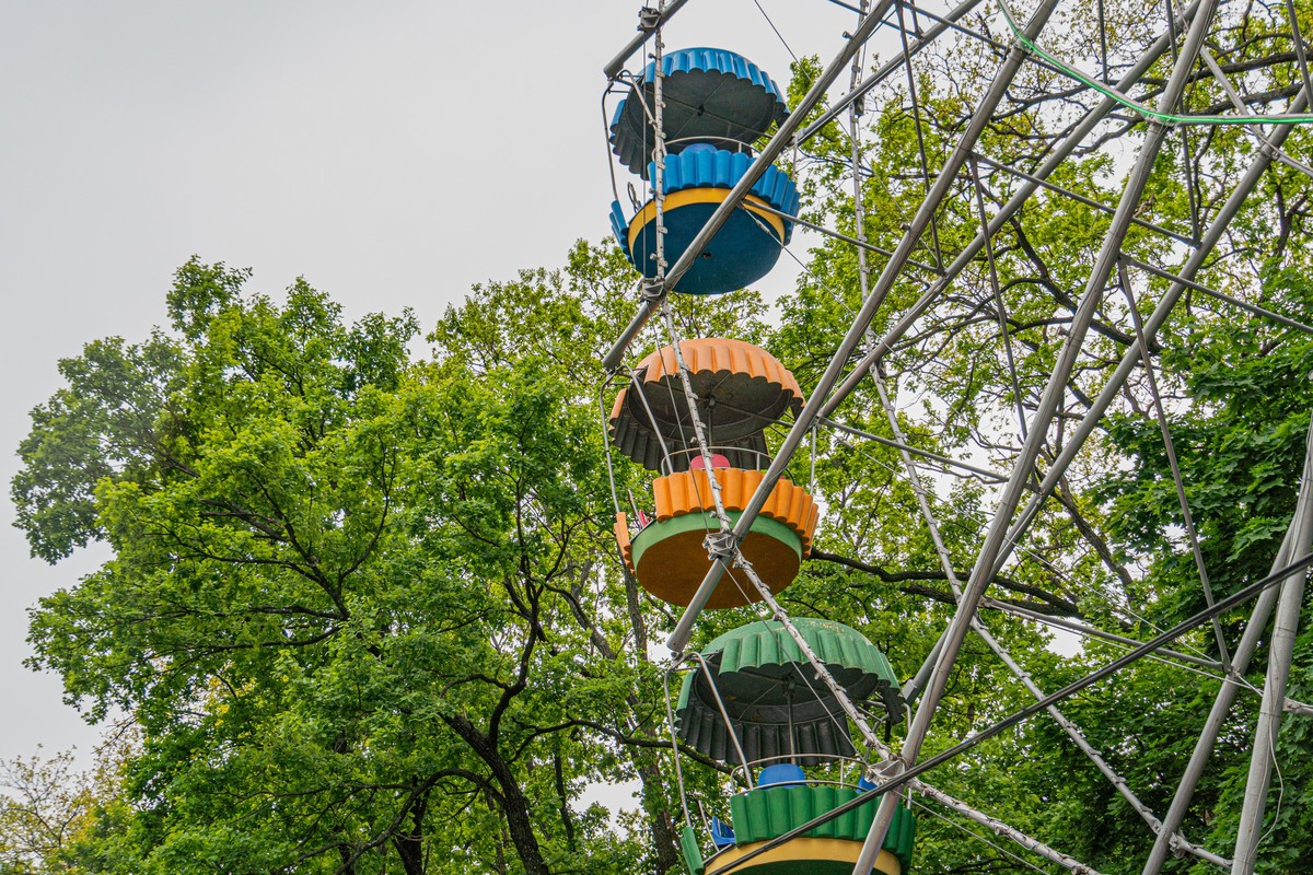 海湾公园 写一篇300字小学作文