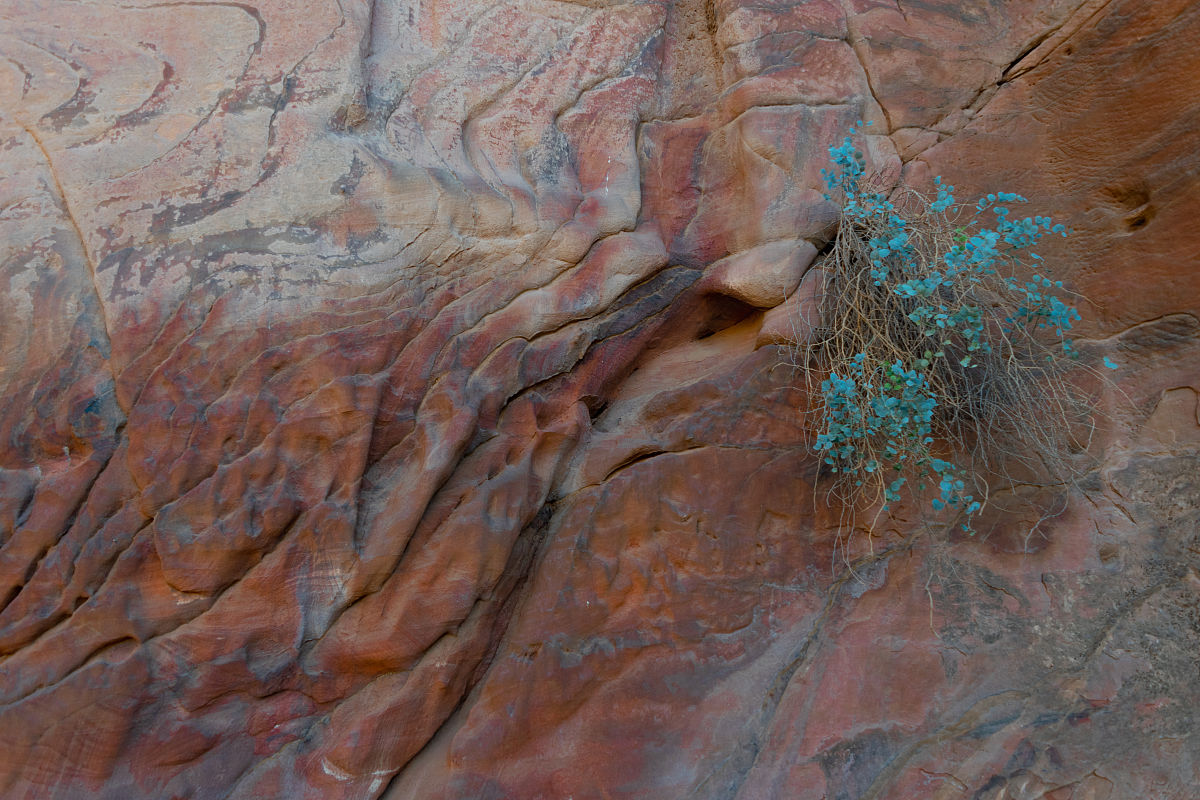 模型玩具网店运营方案及设计指南