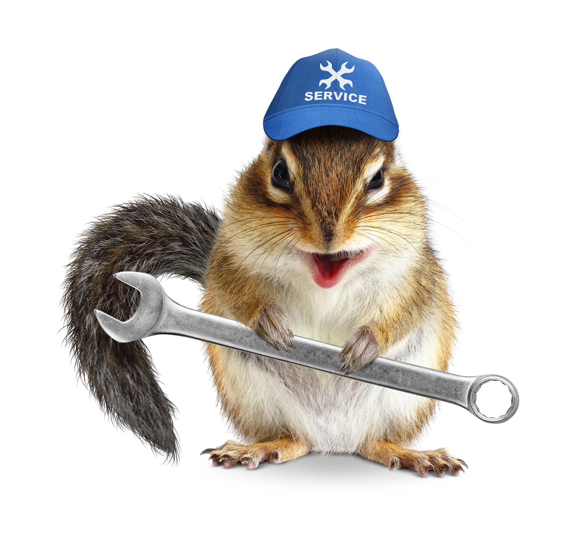 民间故事：天才工匠与金鸟