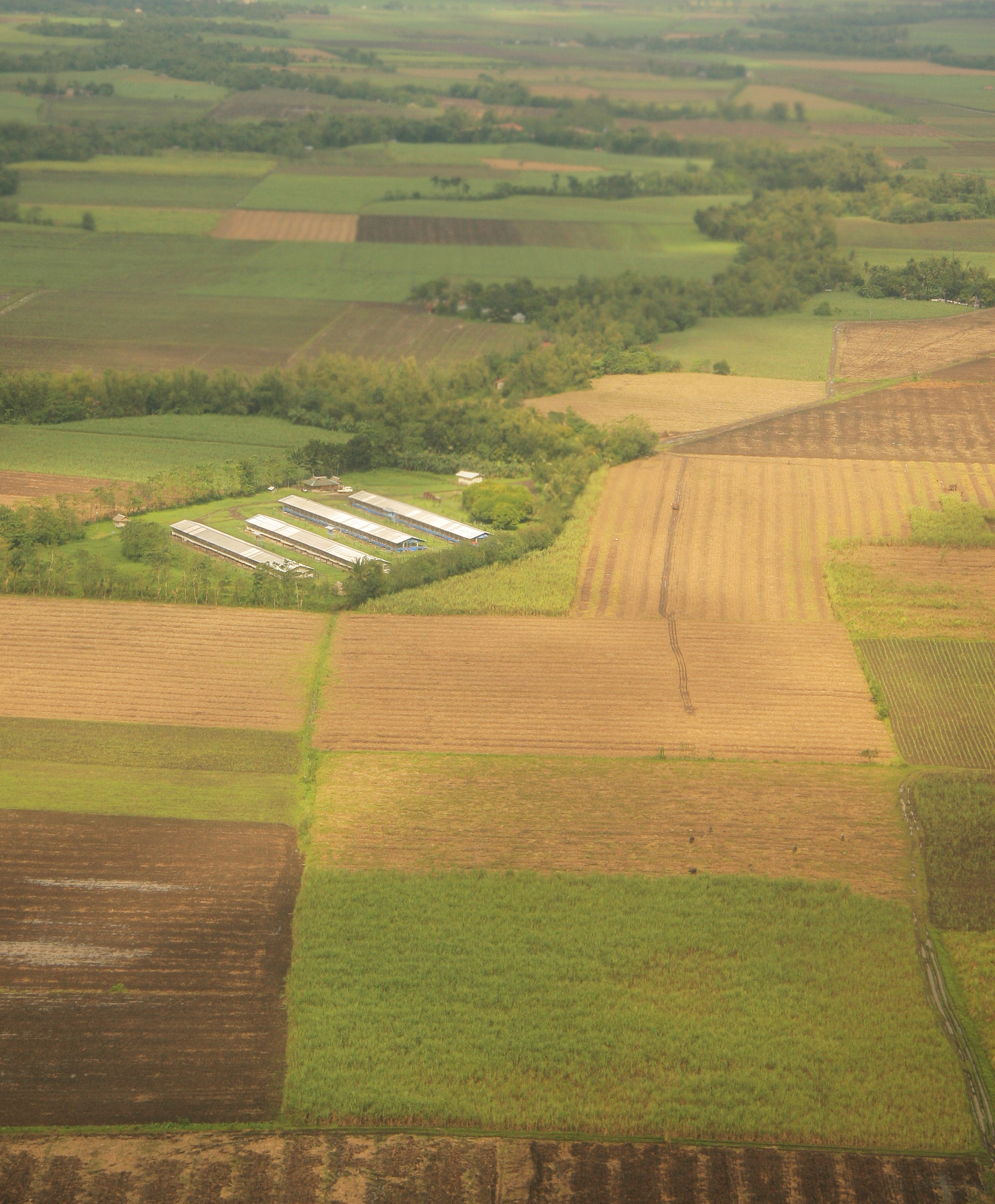 farmlands