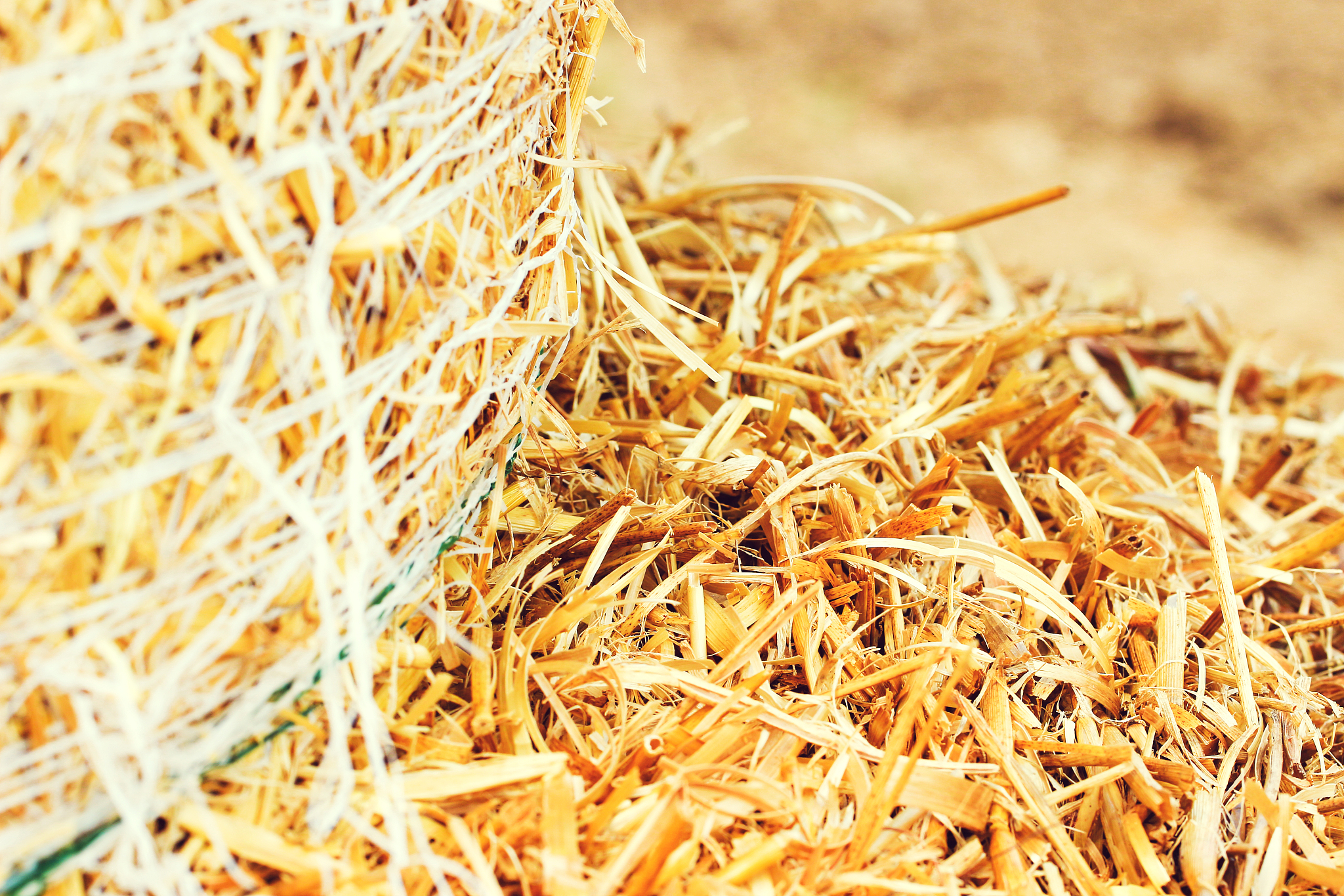 安徽省农业广播电视学校办学层次详解：培养未来农业人才