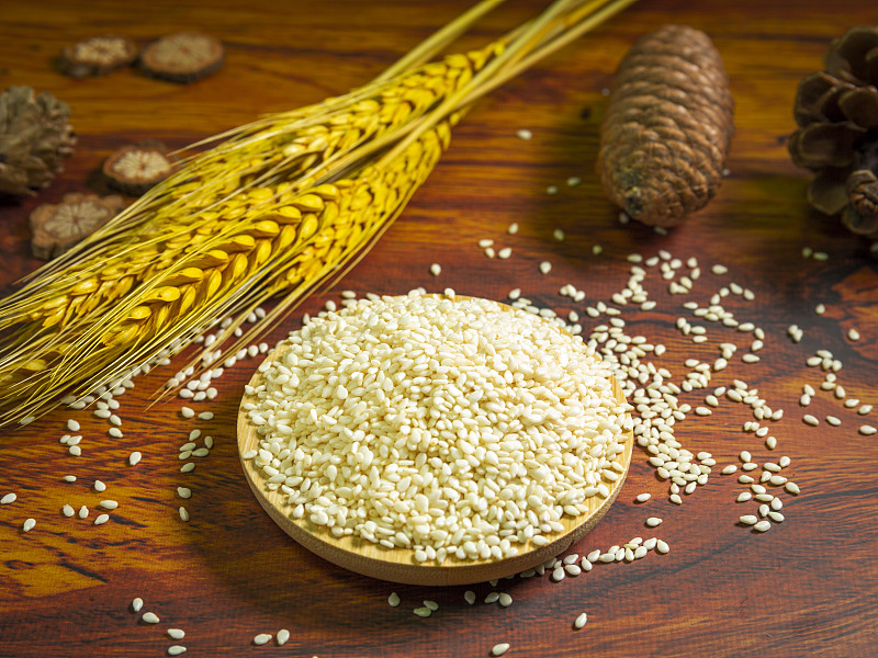 辽宁农业职业技术学院食品营养与检测专业都学些什么