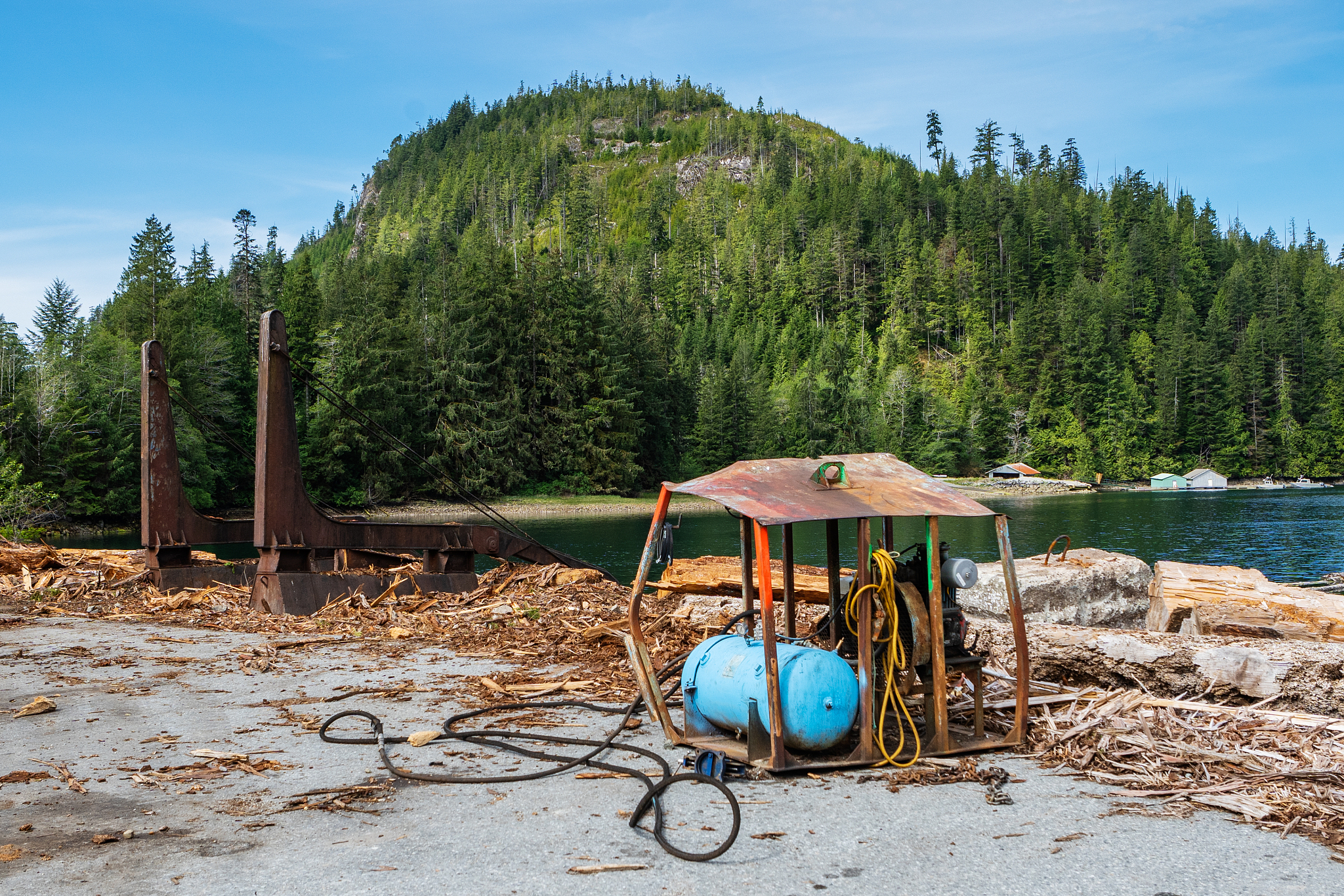林业技术专科课程有哪些？用发