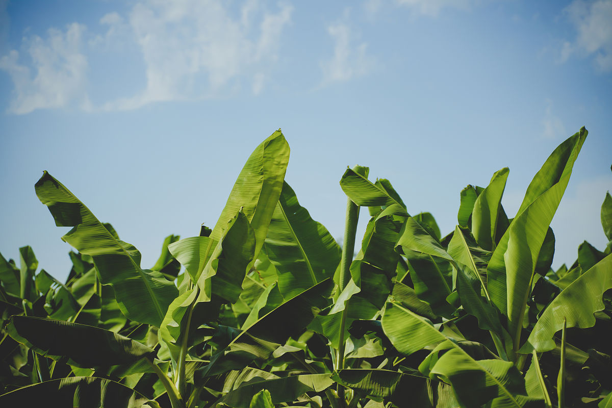 广州市政职业学校2022年要什么招生条件怎么样