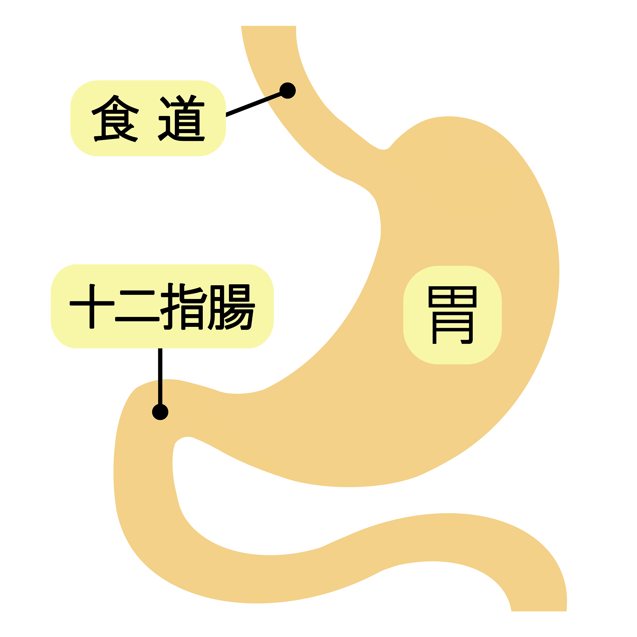 优化创意中文爆款标题3个：胃病大多都是养好的怎么正确养胃？希望几个方法能帮到你