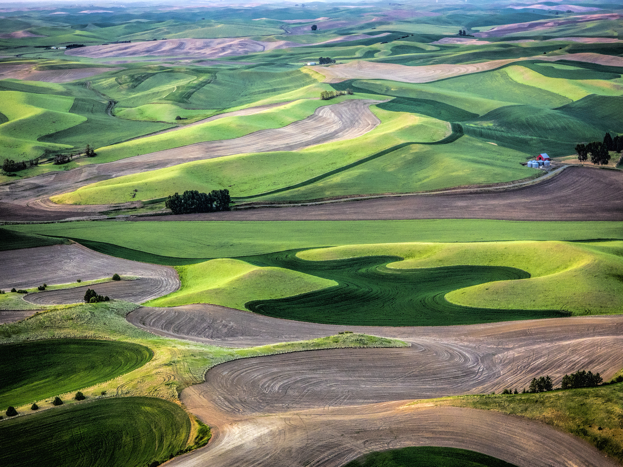 aerial views of farm land in spring green