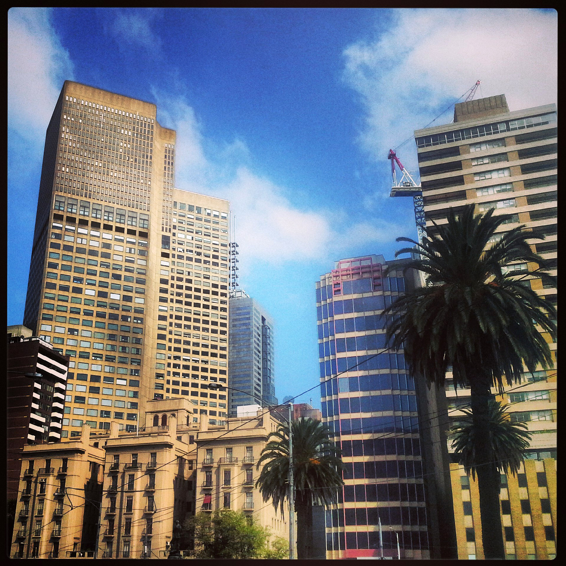 香港丽思卡尔顿酒店生日住宿升级请求 - 万豪钛金会员