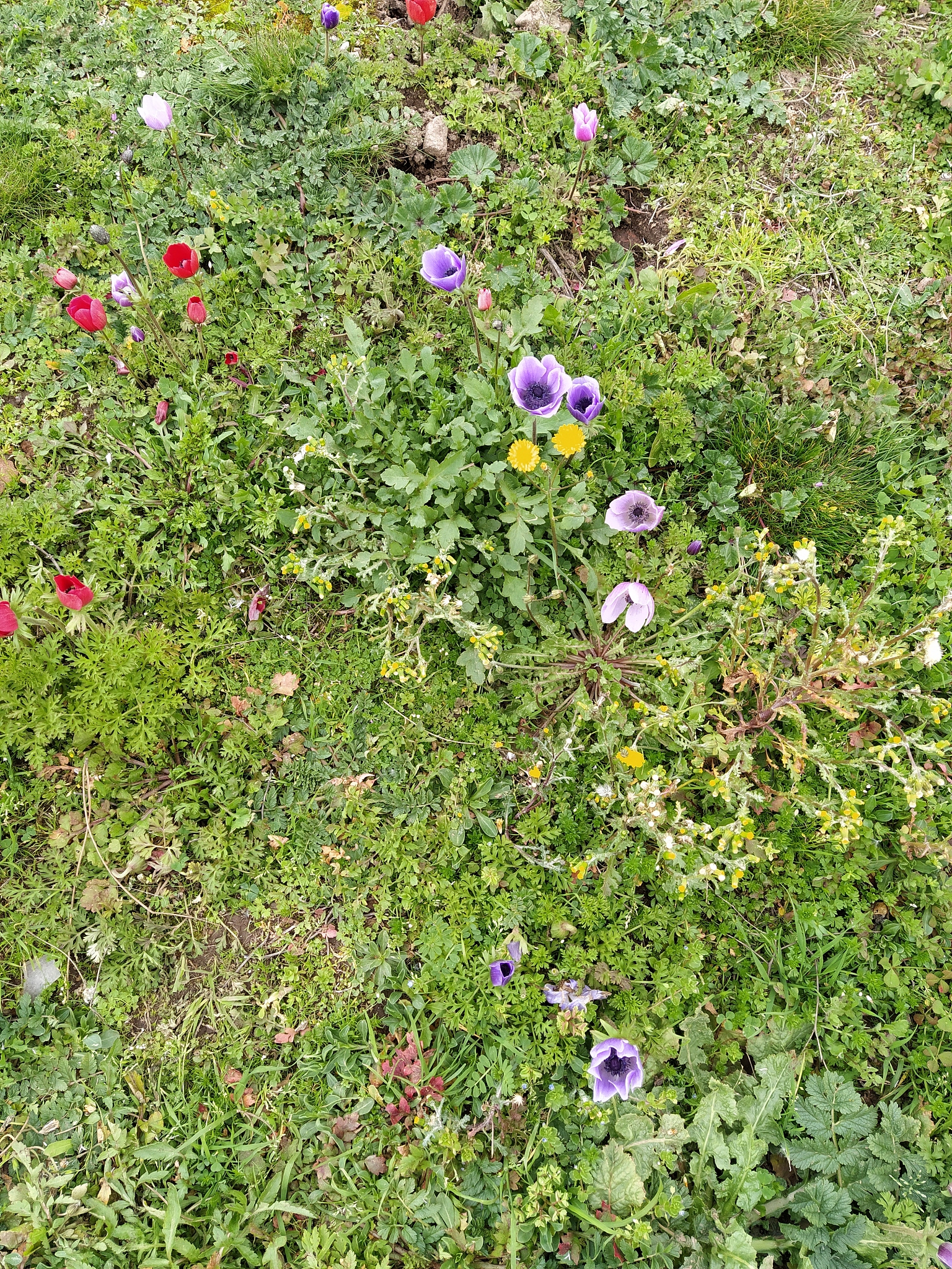 Приоритизация рисков в системе внутреннего контроля: почему важна неравномерная концентрация ресурсов