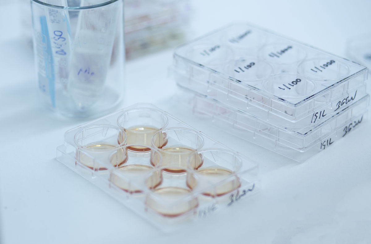 贵阳医护学校开设的课程好不好