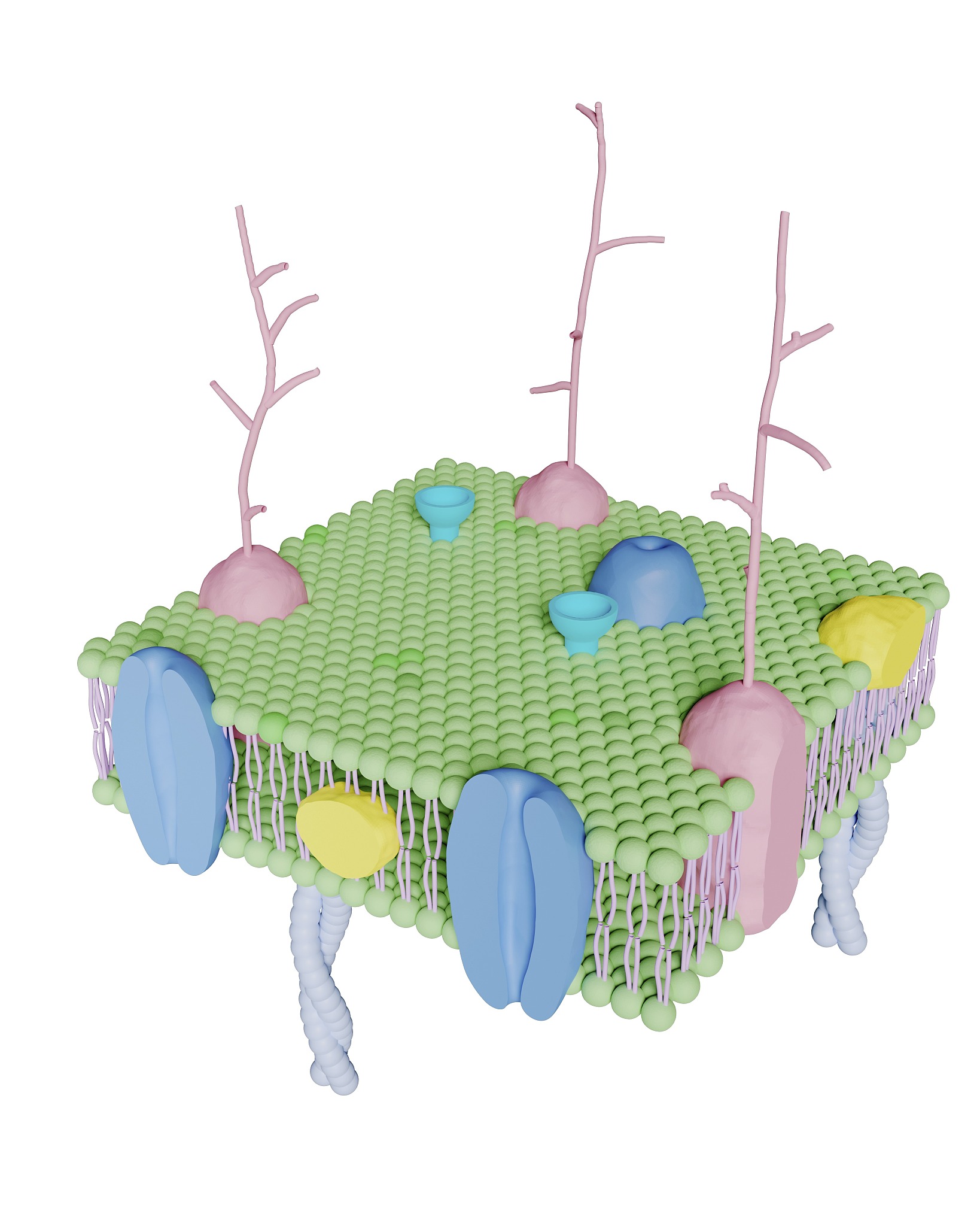 控制细胞内外物质进出的结构是什么