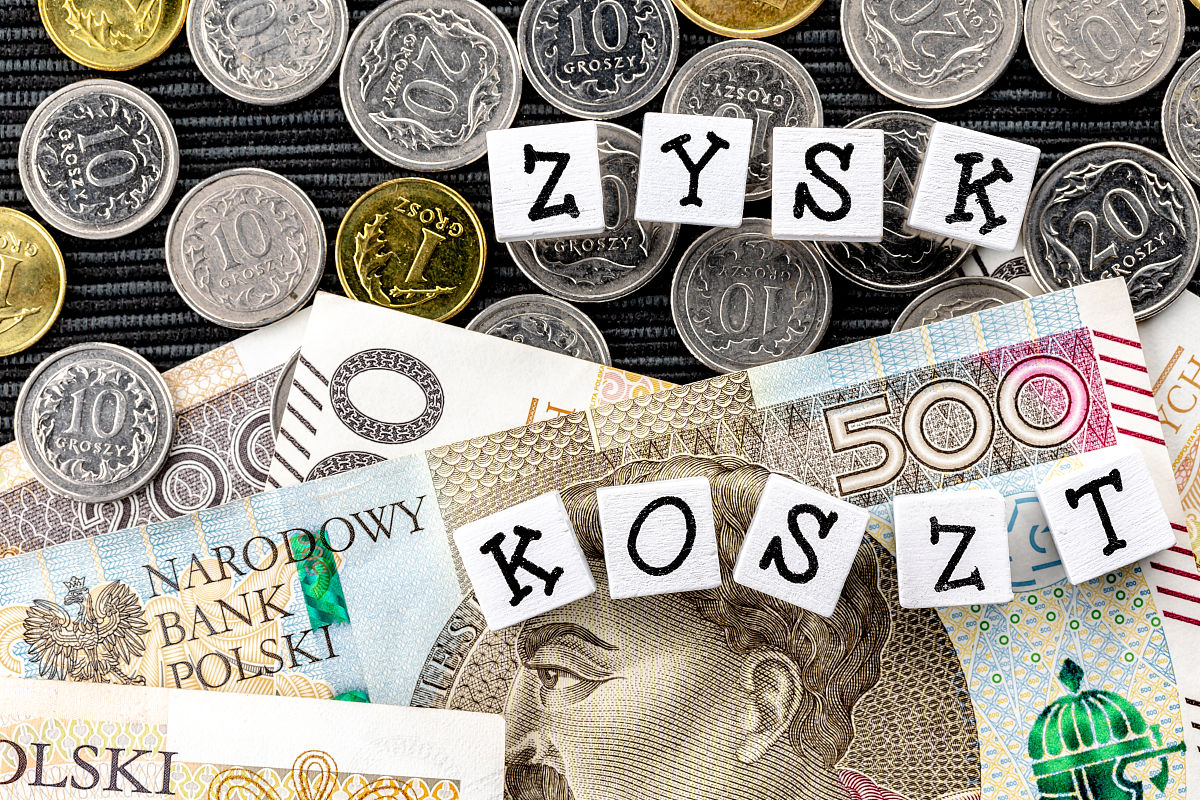 费用结构 英文怎么说？- 专业翻译与解释