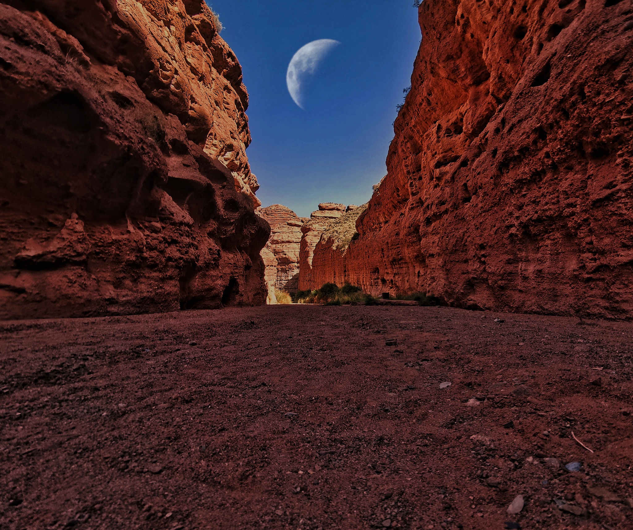 张掖职业技术教育中心旅游服务专业怎么样