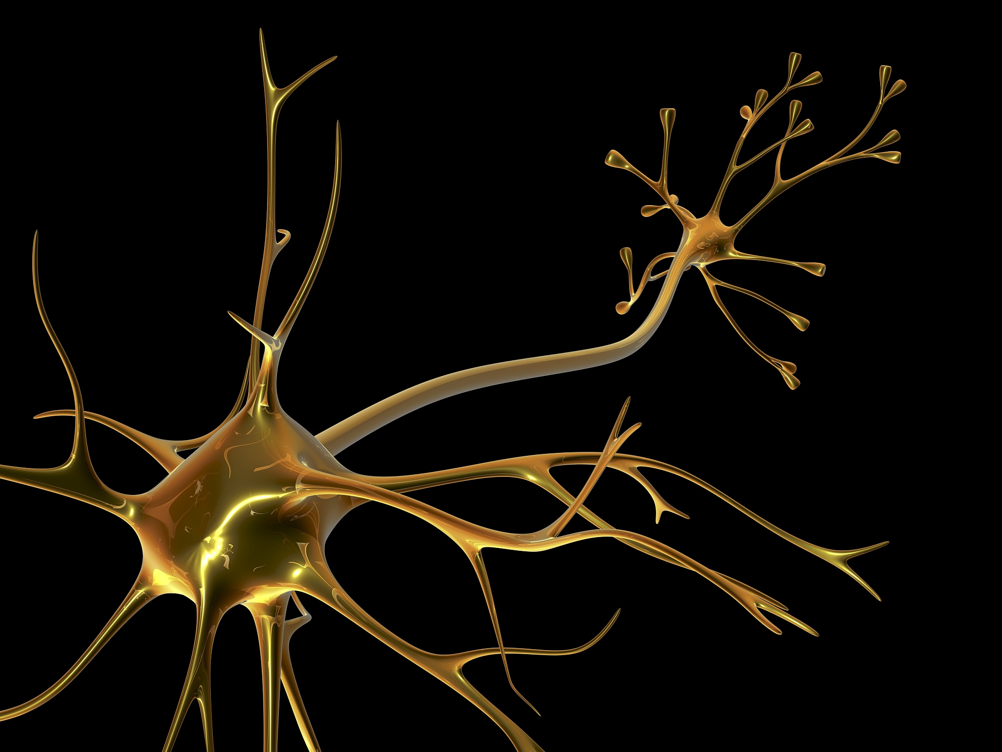 神经元之间的可塑性是什么造成的？