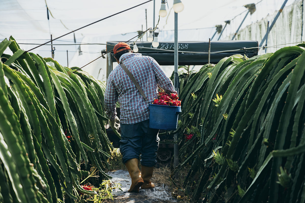 列举农业经济学专业的论文论文评审意见