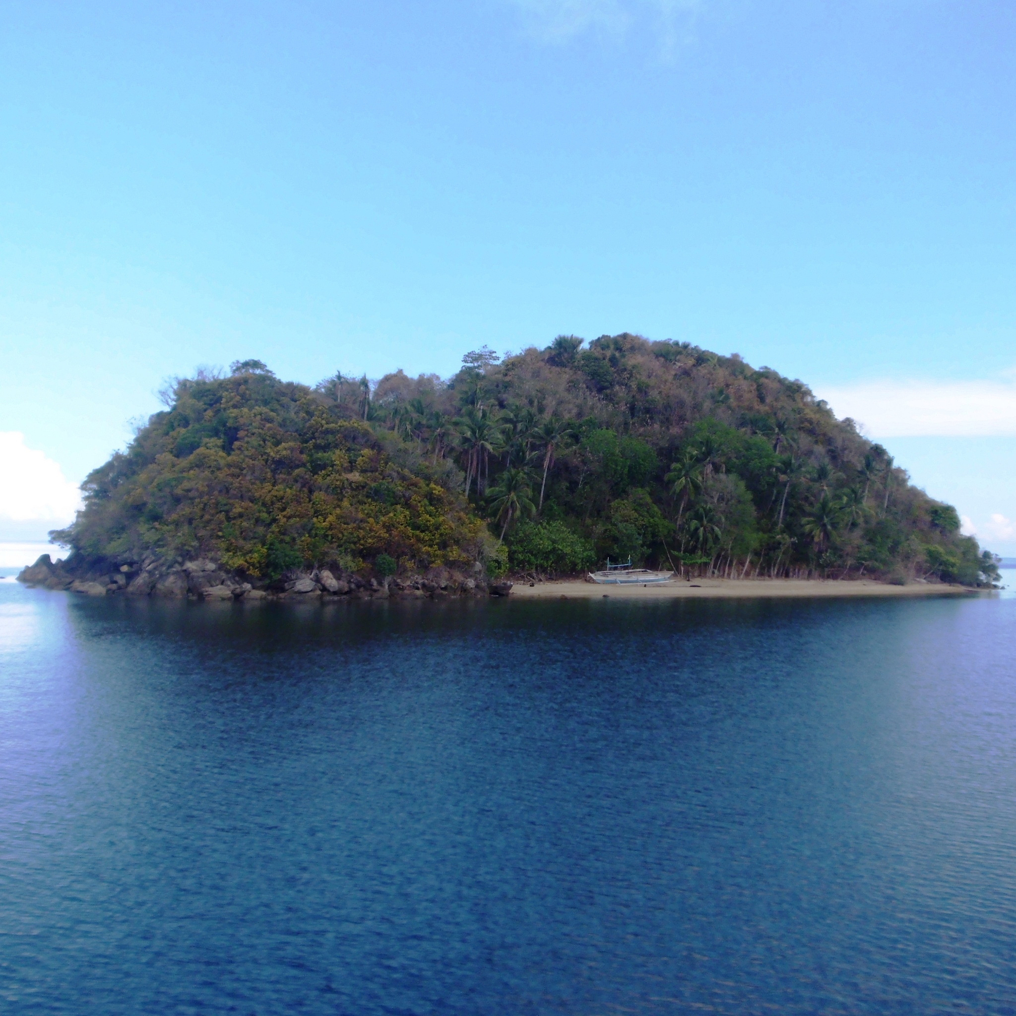 wooded island in sea