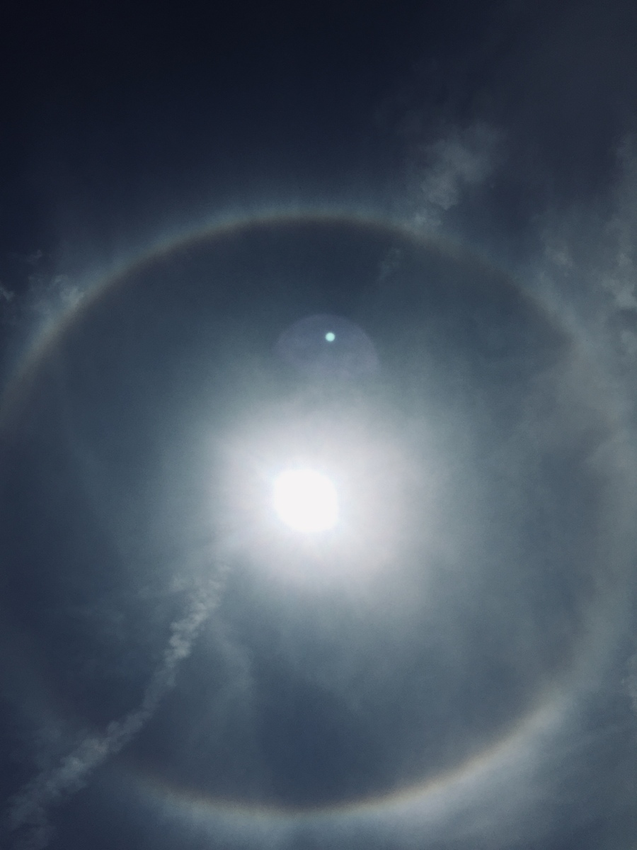 日食观测：兴奋与好奇的体验