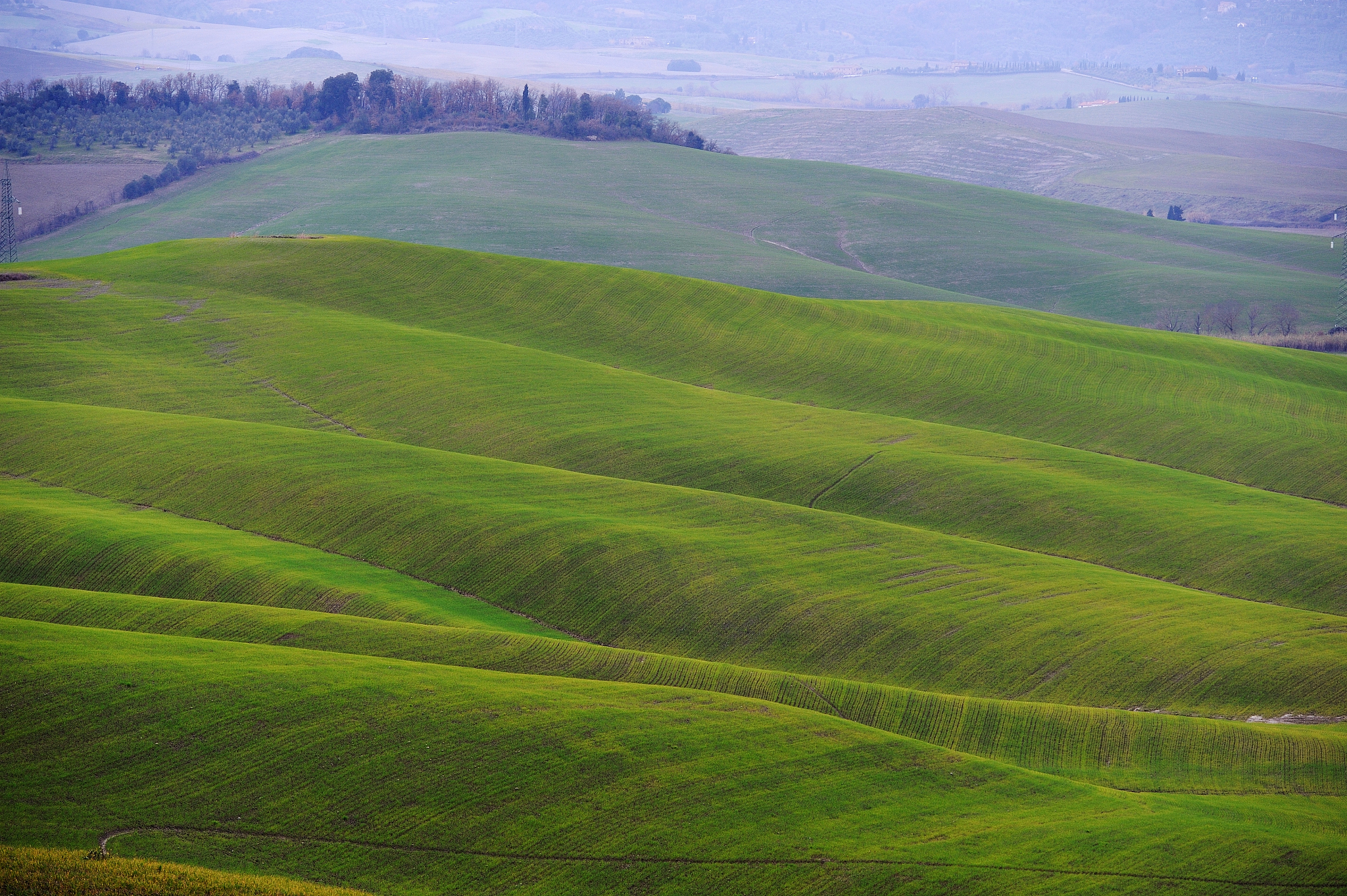 golden hills
