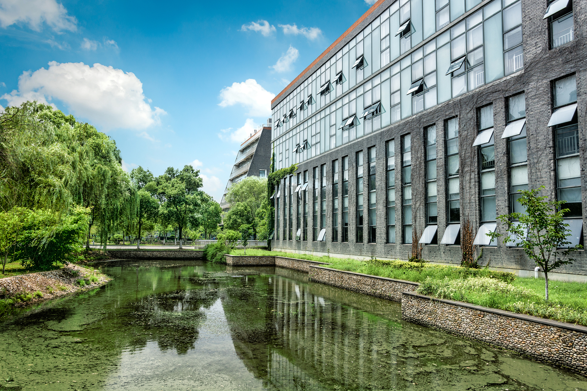 the business building