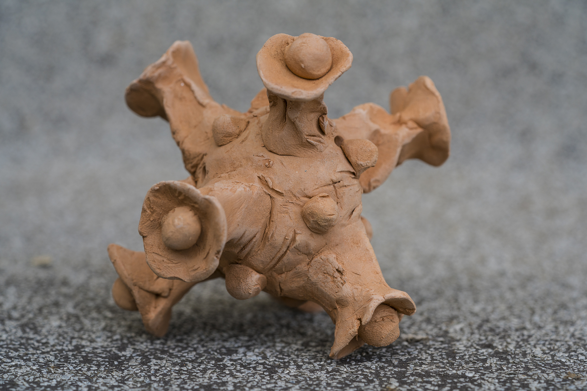 近亲结婚的风险和法律规定