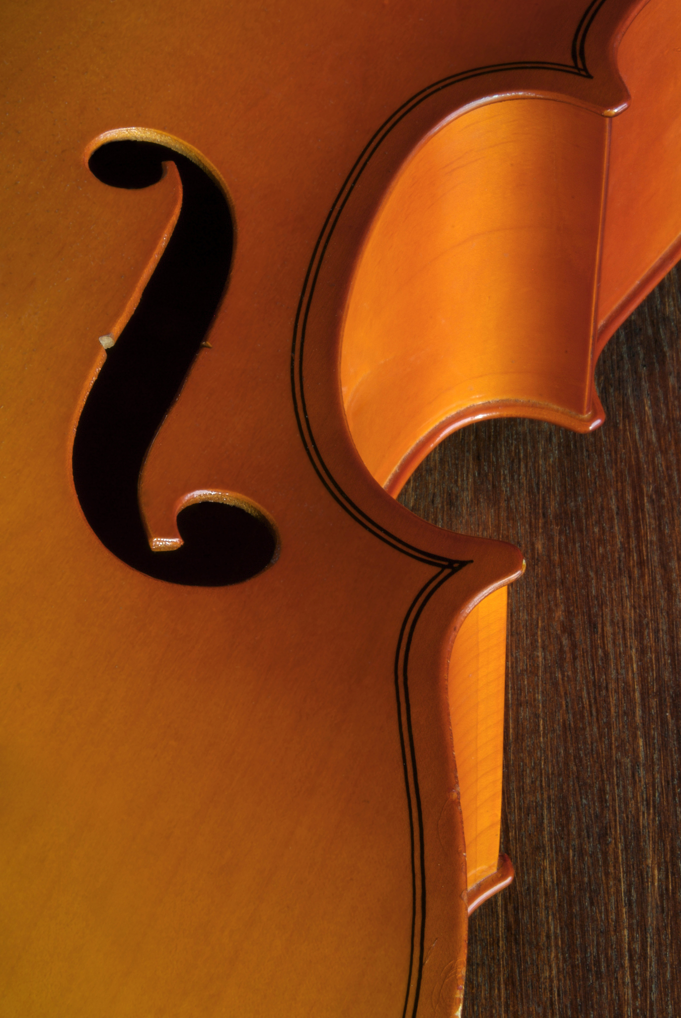 宁波职业技术学院乐器制造技术专业就业方向有哪些