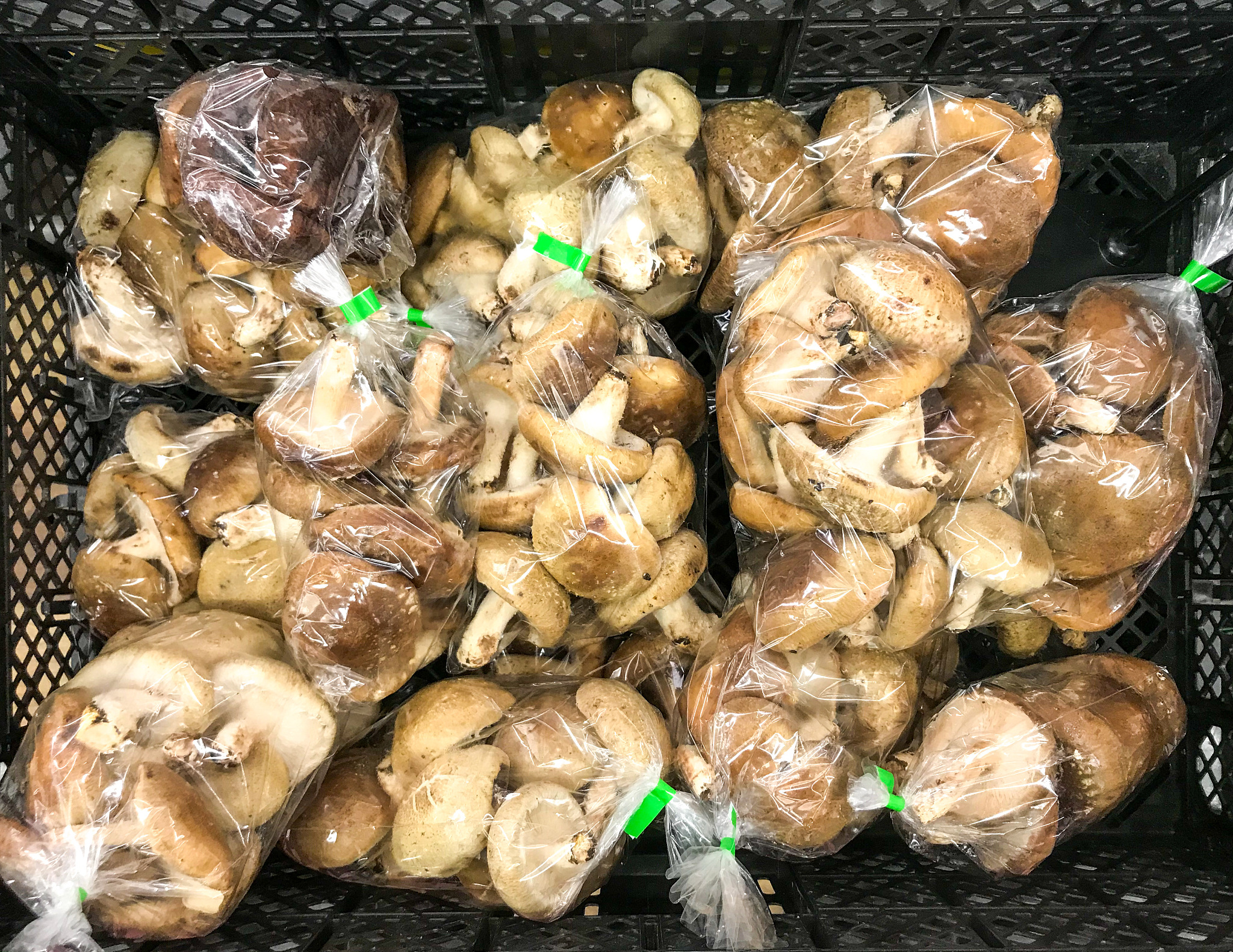 请帮我写1篇不少于800汉字的博客文章语言要幽默接地气。主题是：现在做什么？十大冷门暴利小生意行业最赚钱前景好