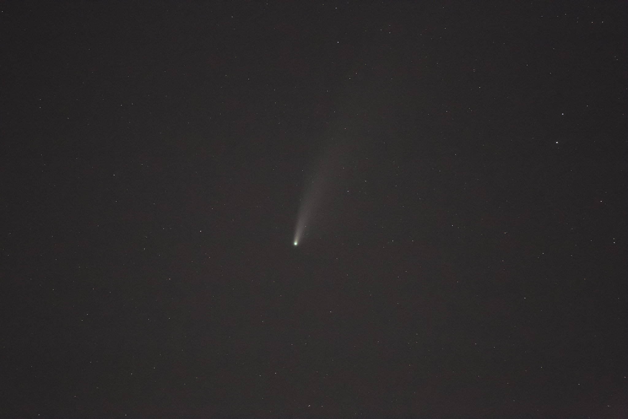 comet neowise on night sky