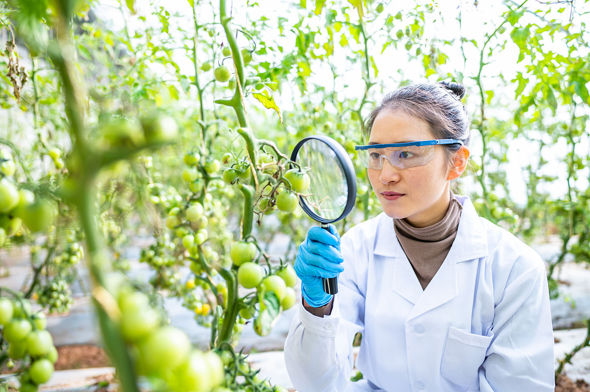 重庆市农业机械化学校机电技术应用专业怎么样？好学吗？