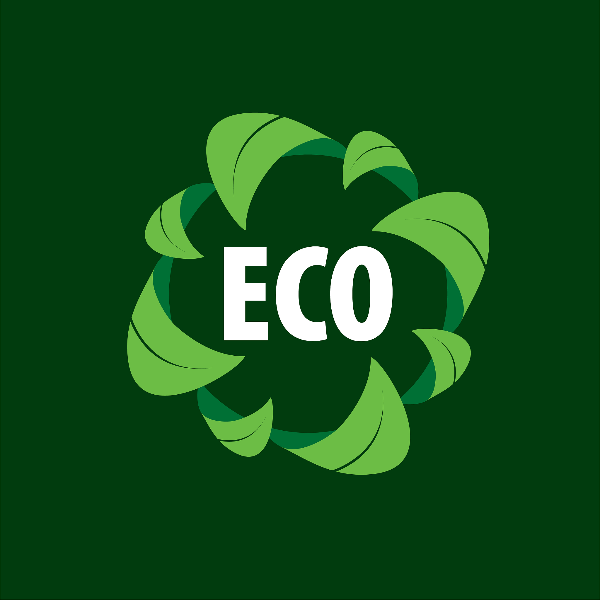 logo eco