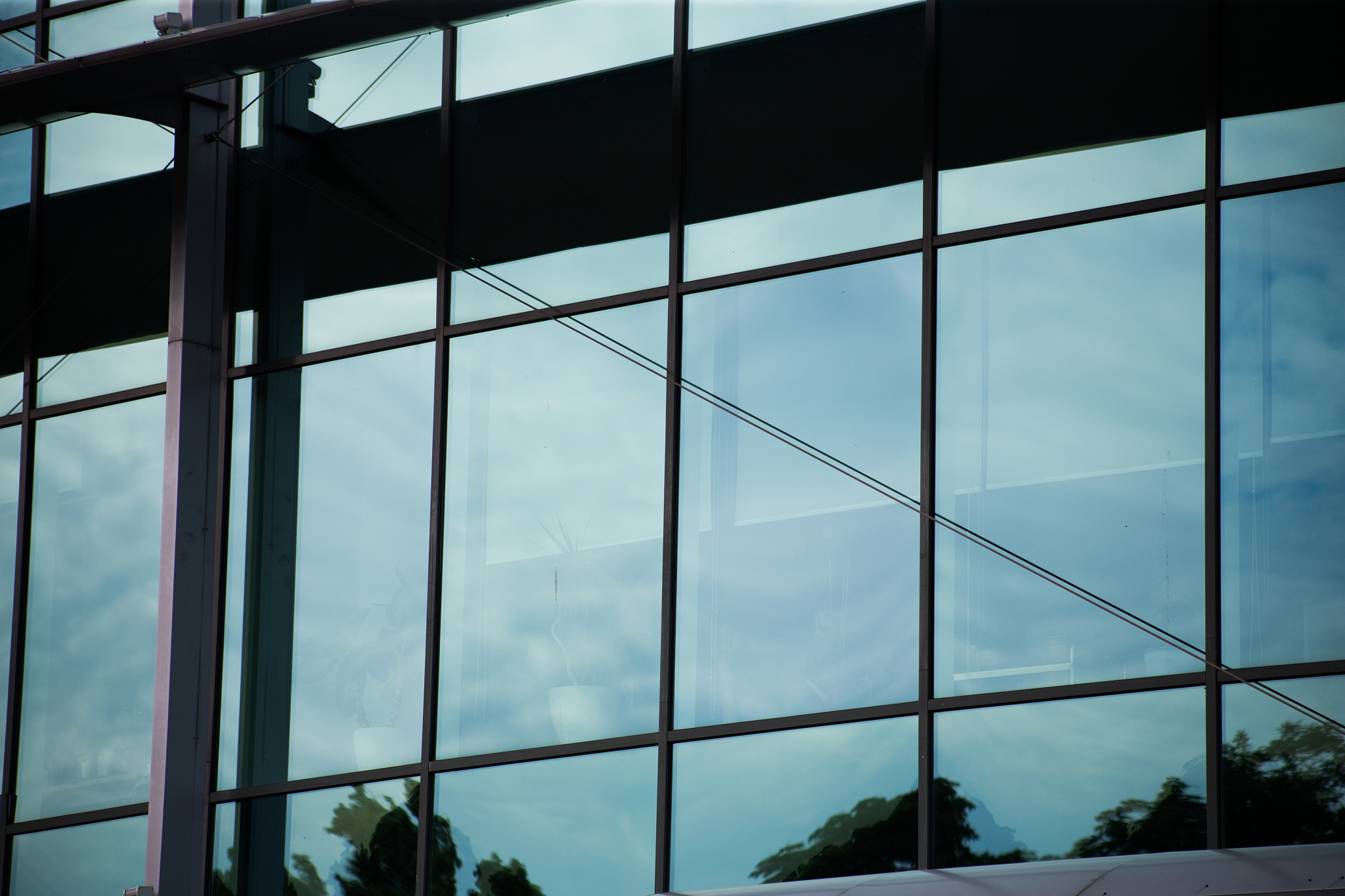 glass windows of an office building in a modern city in the fina