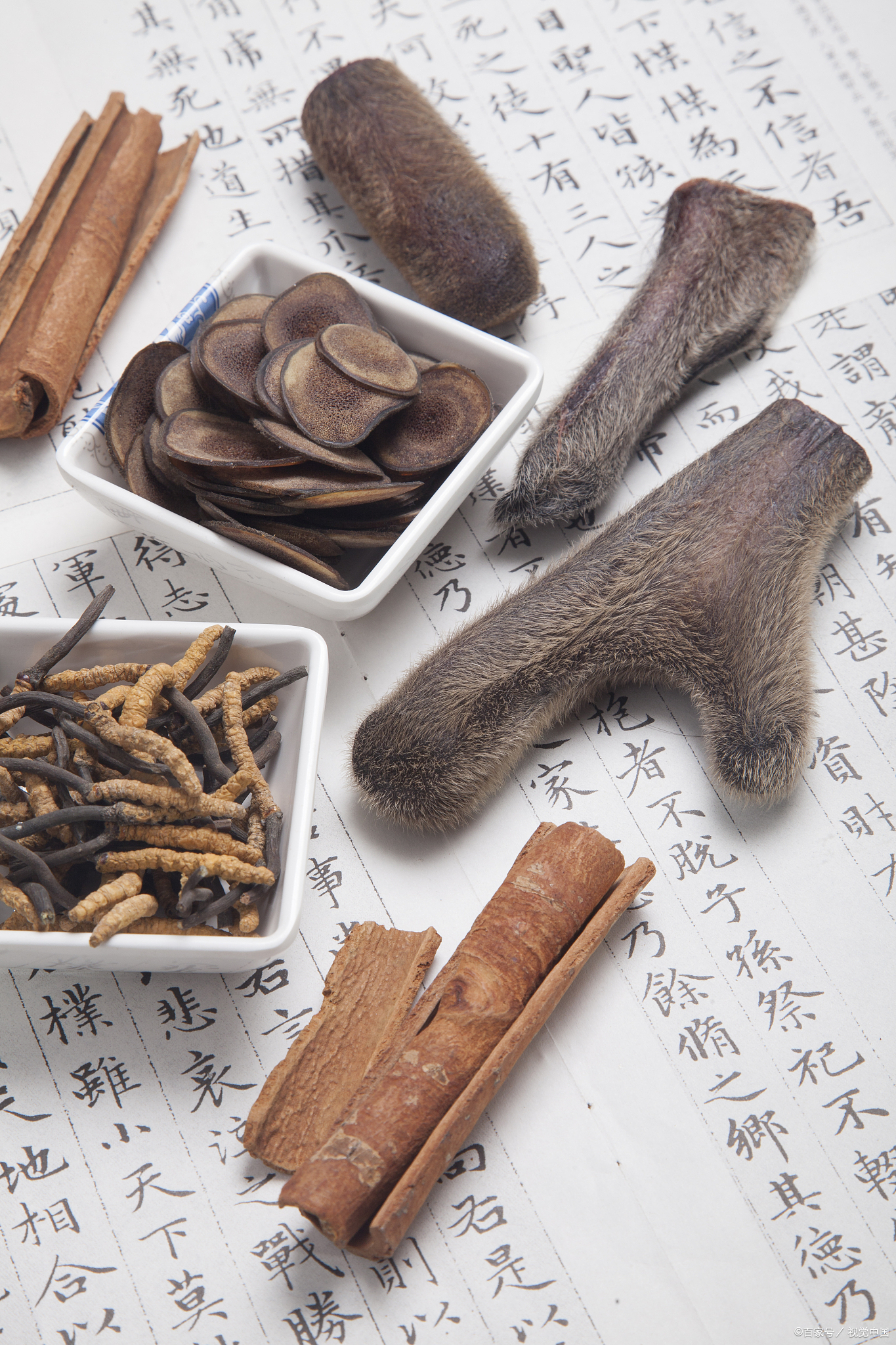 鹿茸的形态特征与真伪鉴别指南：助你精准选购优质鹿茸片