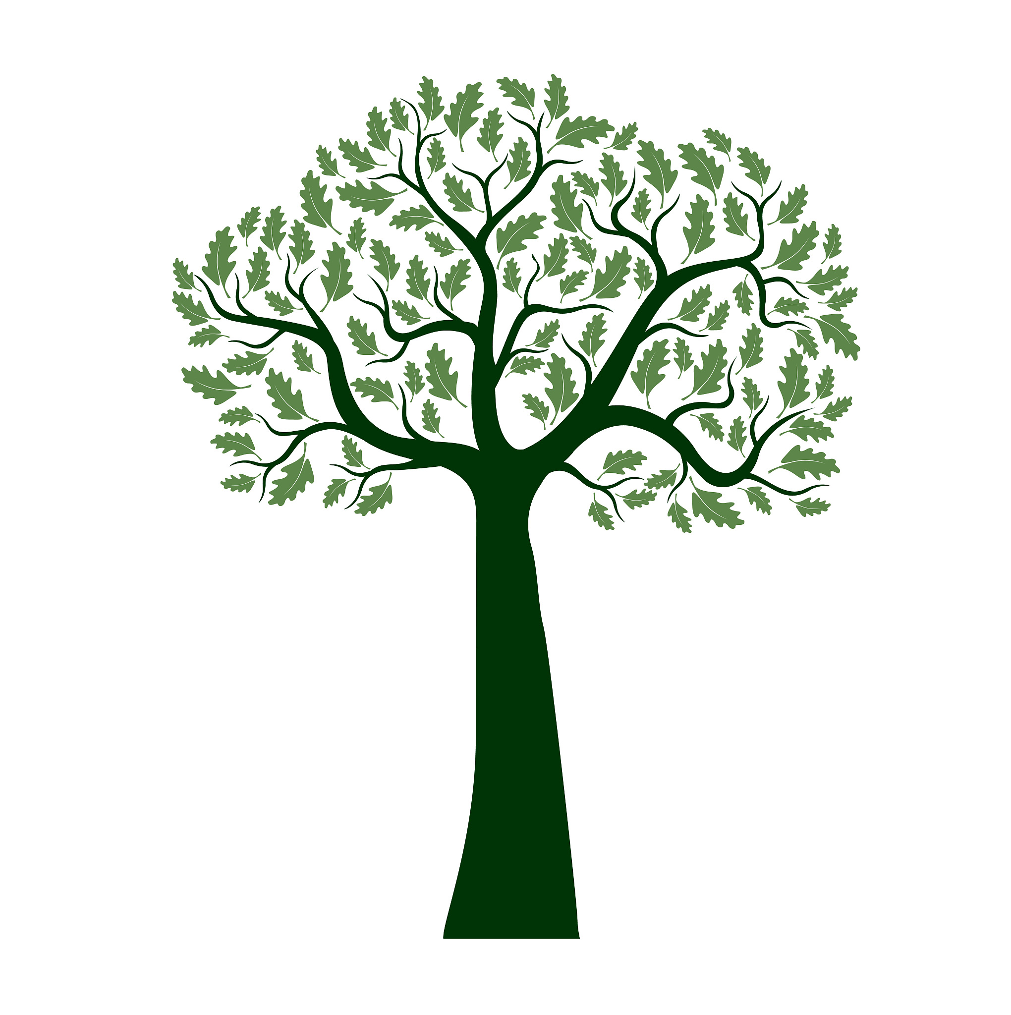 green vector olive tree on white background. vector illustration