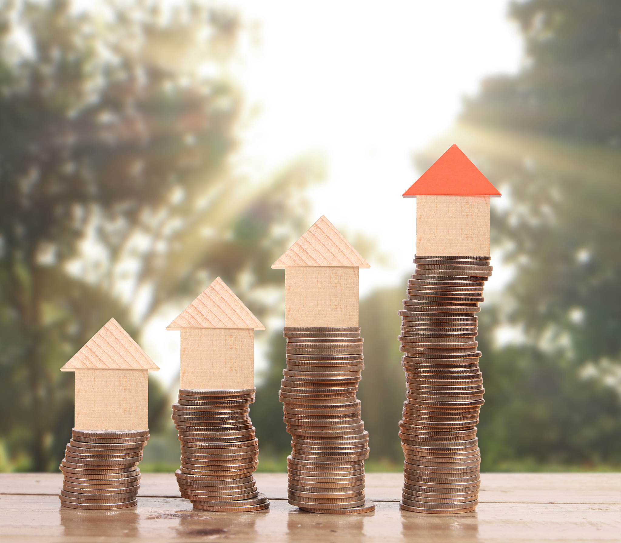 经济学中的形式与政策：相互依存的关系