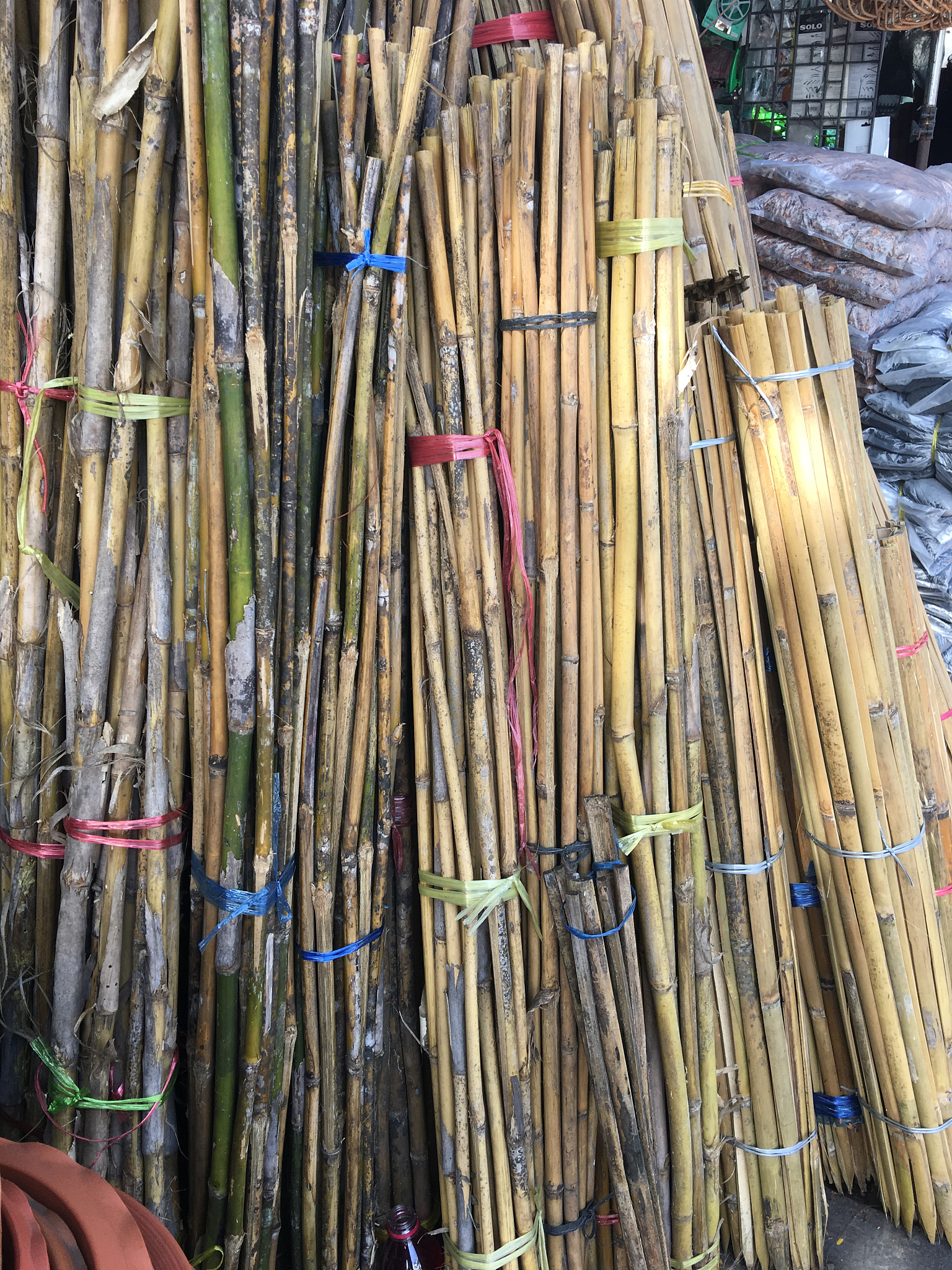 博兴哪里卖竹竿 回答加拓展