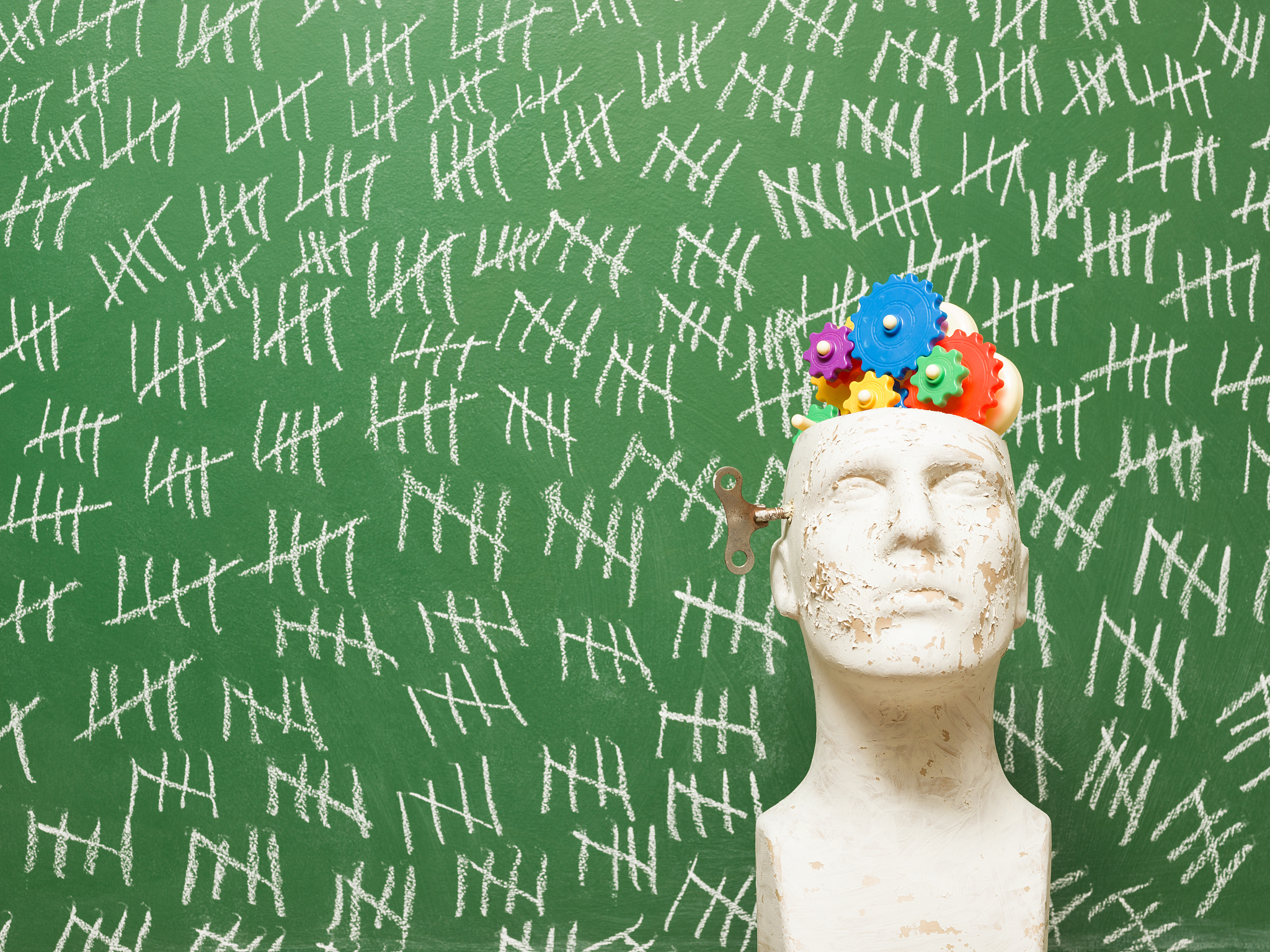 Frozen Head & Shell On Vannamei Shrimp in Carton Packaging