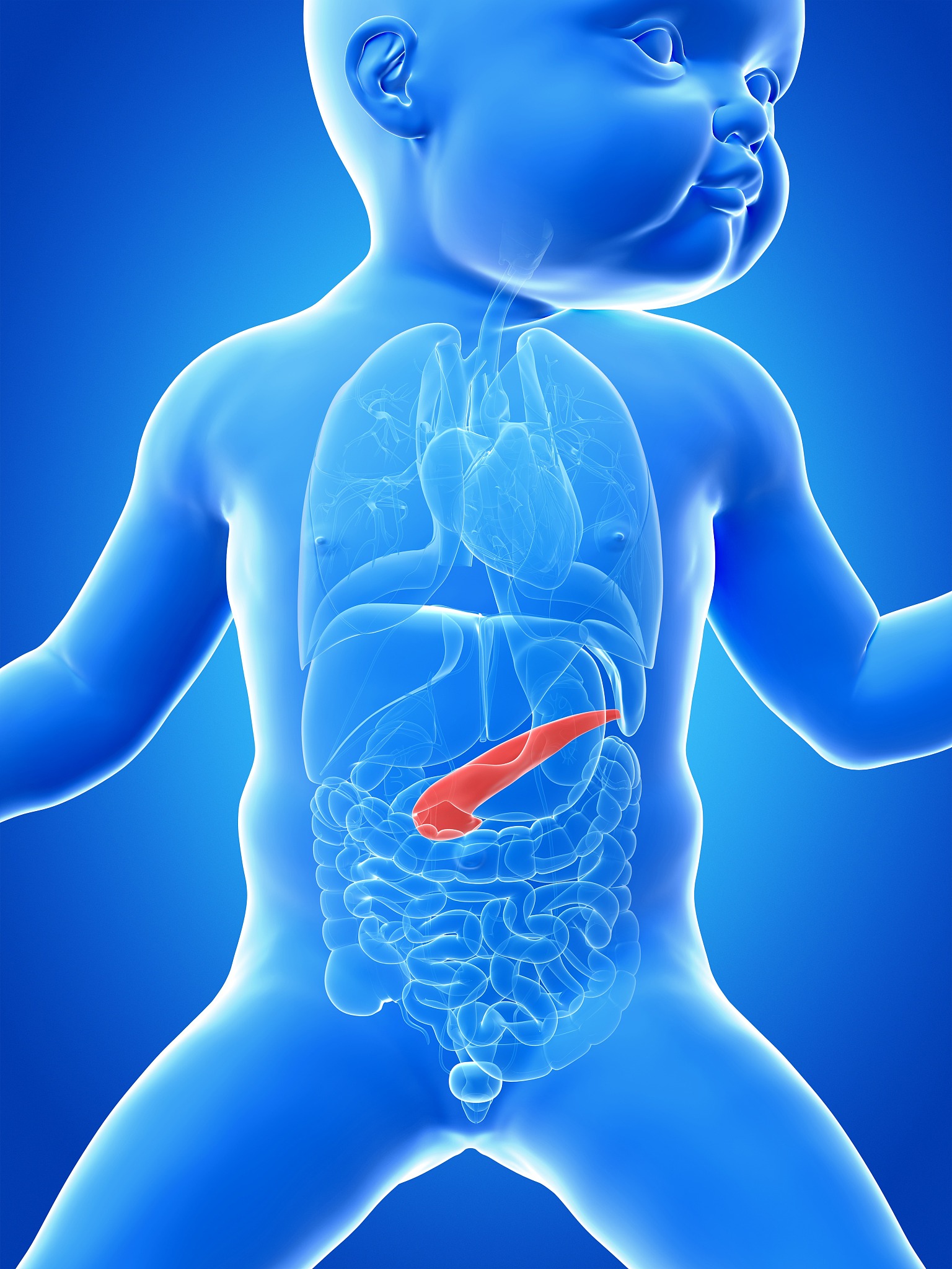 曲靖畜牧兽医养殖学校2019年专科招生专业