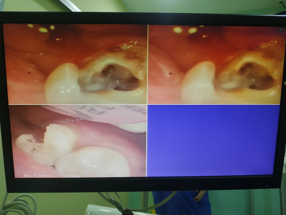 贵阳市口腔学专业知识技能有哪些