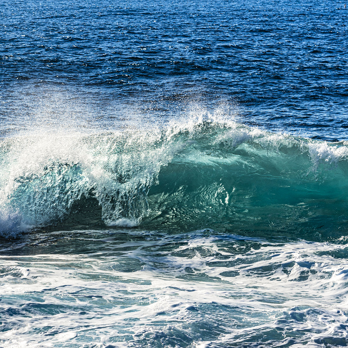 春潮描绘了一幅怎样的画面请用一两句话进行概括