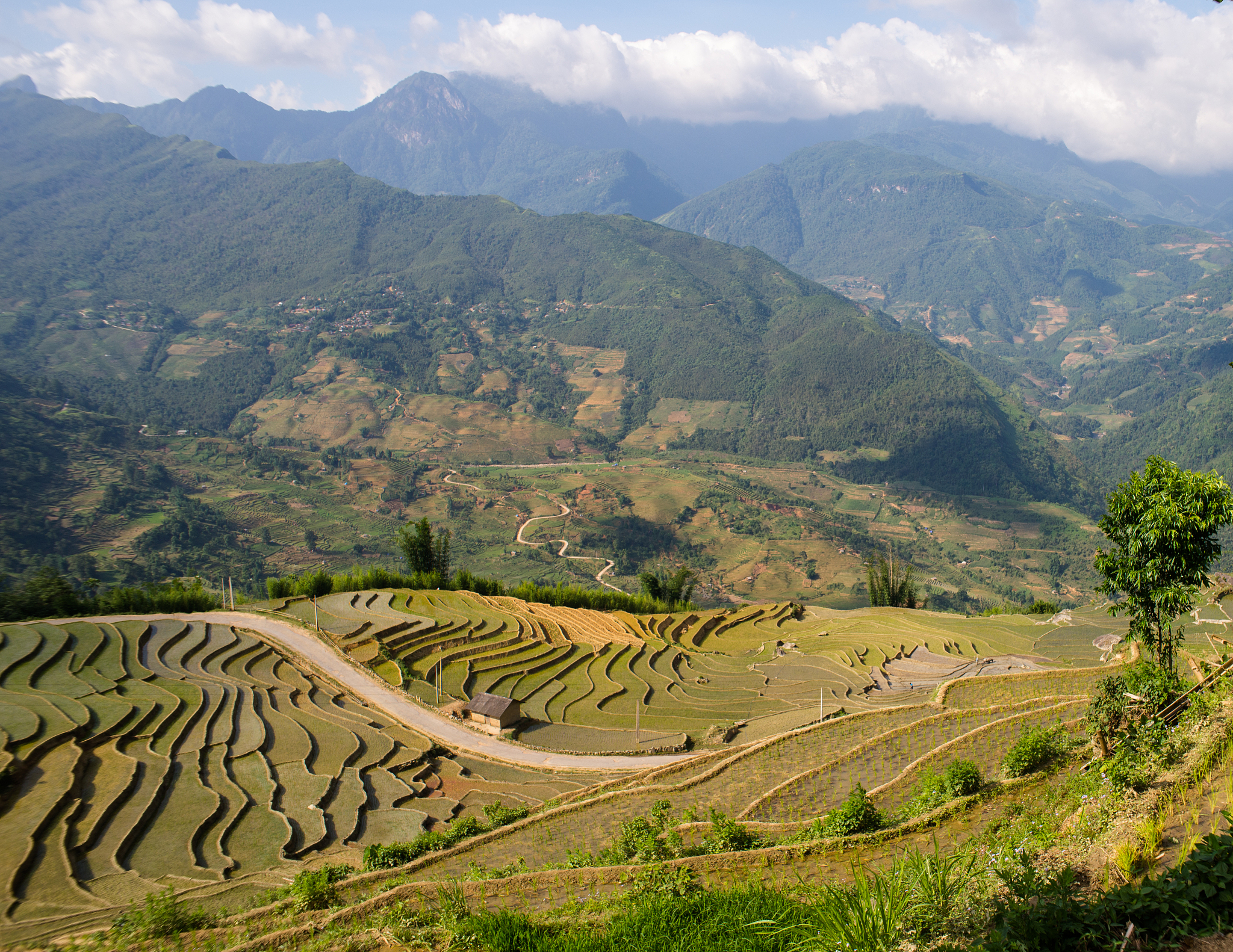 表达式 x=(a+b+c)mod m, y=(a+2b+4c)mod m, z=(a+3b+9c)mod m 的区别