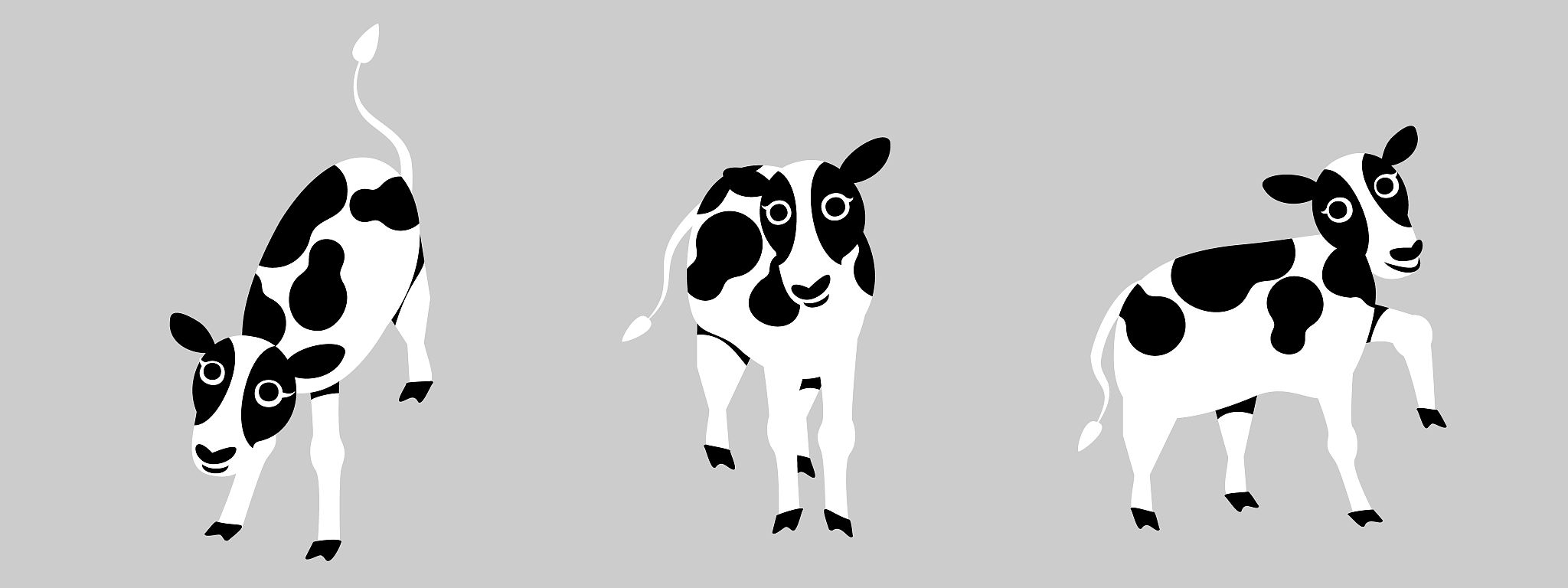 改写：由于我们采集到的数据是环绕奶牛个体拍摄的视频因此需要先对视频截帧得到奶牛体侧图像在然后对奶牛体侧图像数据集进行筛选、标注、划分、训练集增强等操作构建奶牛躯干图像数据集。