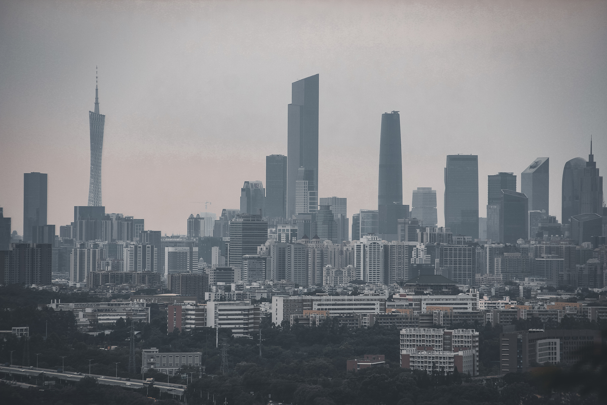 大城市繁华VS小城怀念：大一新生独特成长之旅