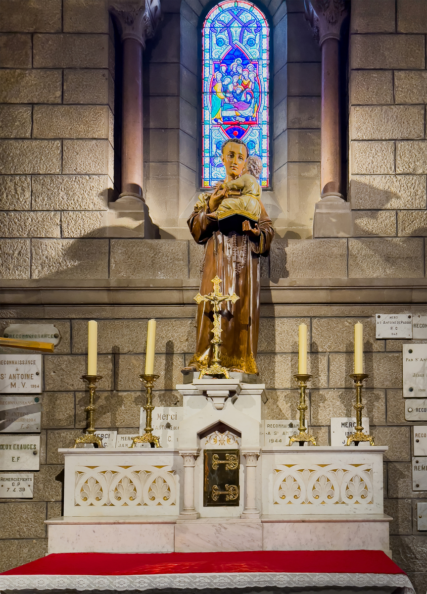 16、20、40 的公因数有哪些？