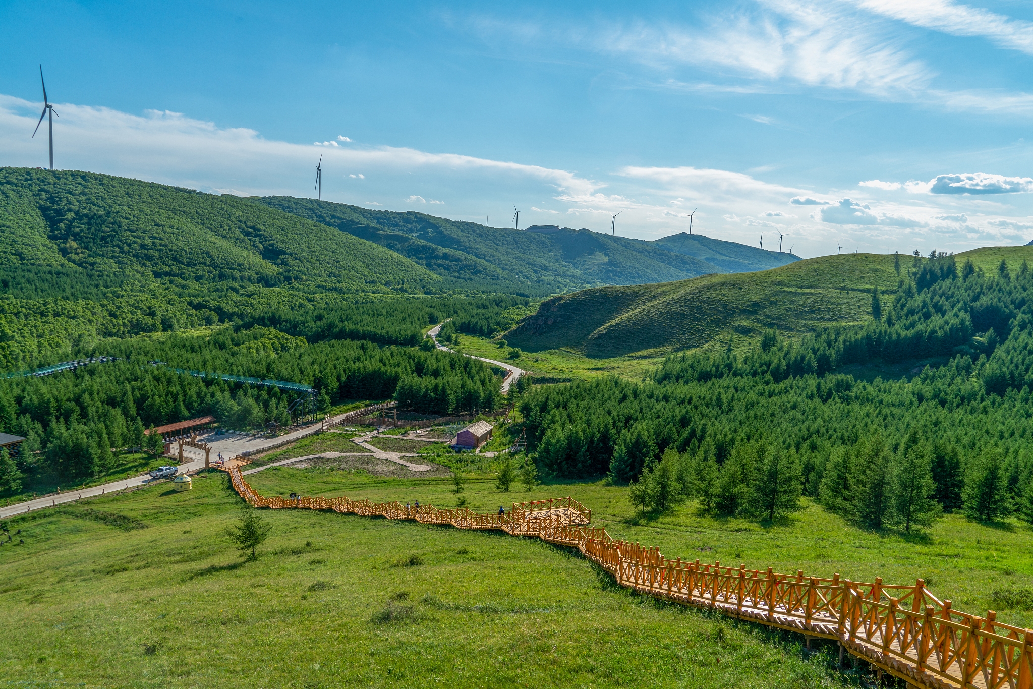 兰州兴隆山：丰富多样的植被类型