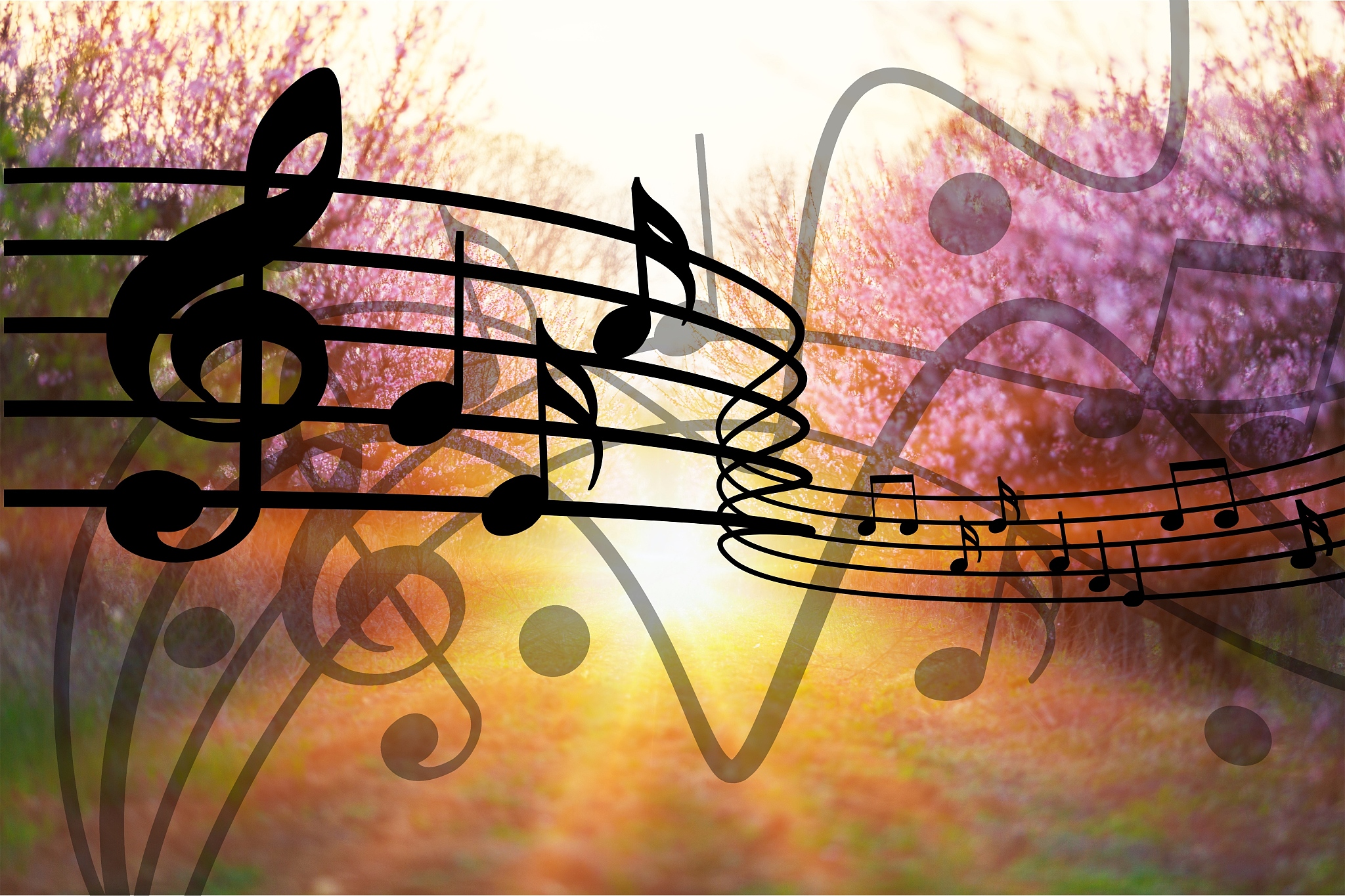 河北艺术职业学院作曲技术专业：学习内容及培养方向