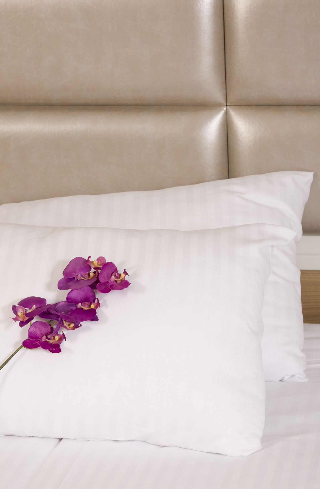hotel room interior