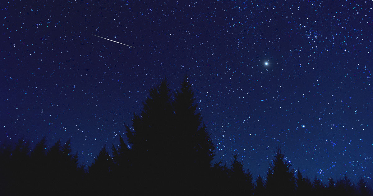 秋夜的美丽与温馨：小学作文