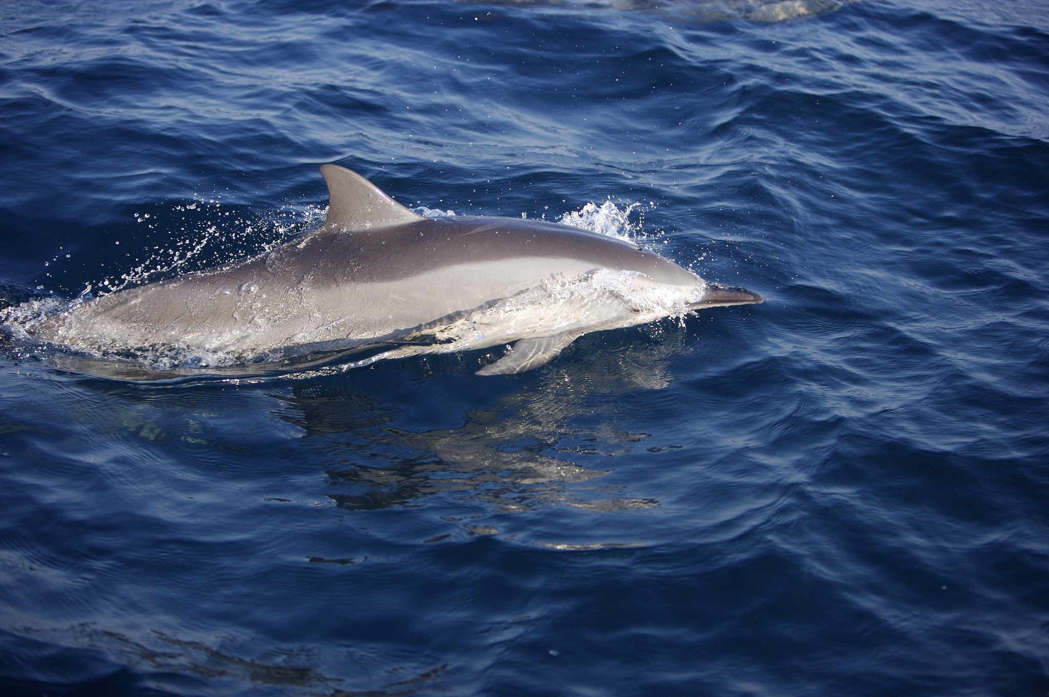 宁波海洋职业技术学校2022年开设有哪些专业-好不好
