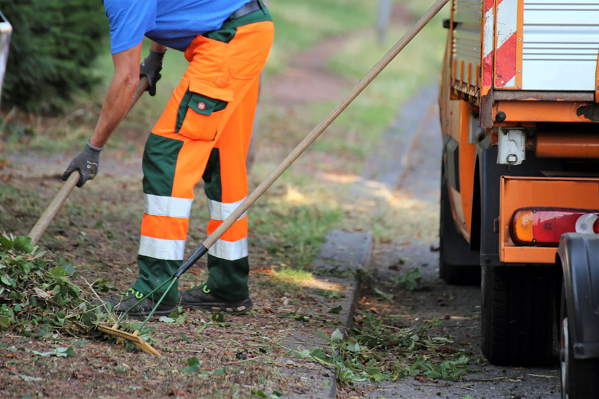 阜新高等专科学校园艺技术专业课程设置有哪些